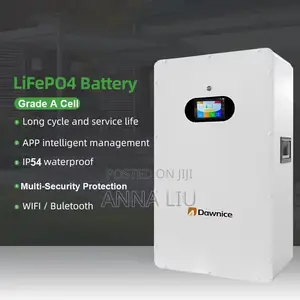 Dawnice 51.2v 314ah 16kwh Lithium Battery Wall-Mounted