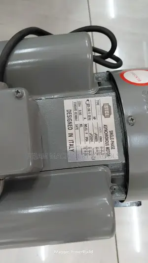 Electric Milano Coffee Pulper Machine 2hp 1000kg/Hr