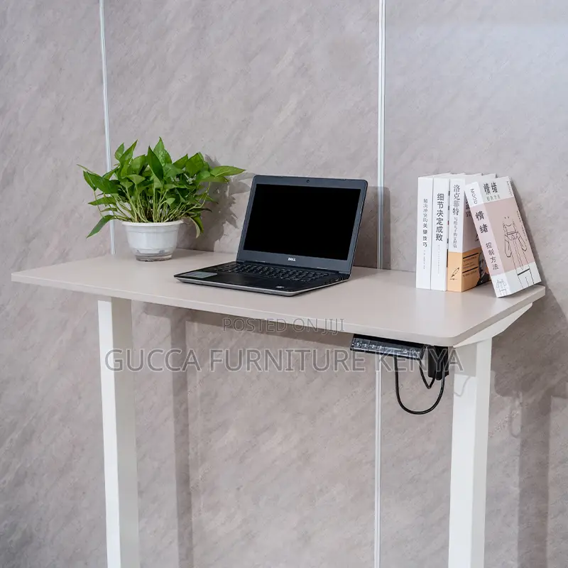 White Electric Height Adjustable Standing Desk