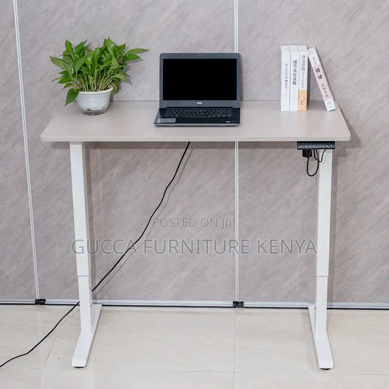 White Electric Height Adjustable Standing Desk