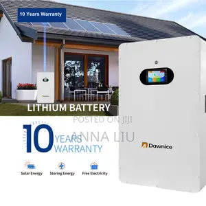 Dawnice Energy 16kwh 51.2v 314ah Wall-Mount Battery