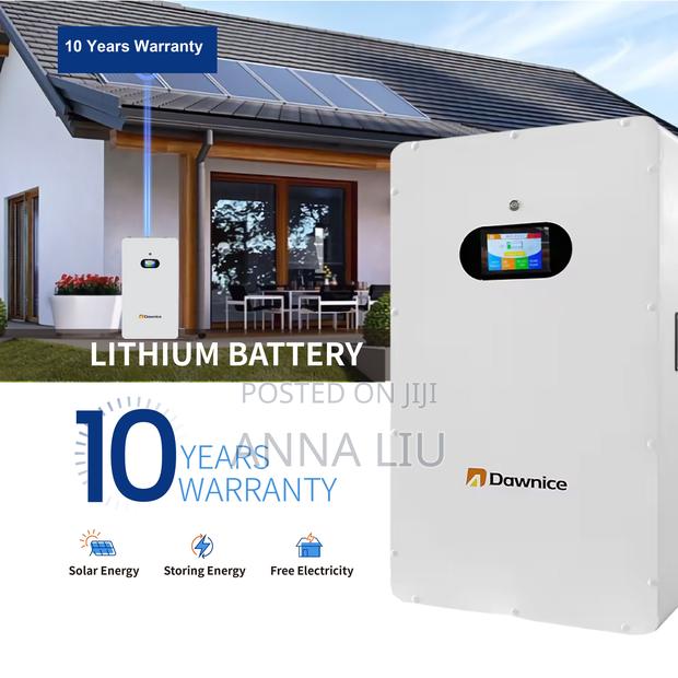 Dawnice Energy 16kwh 51.2v 314ah Wall-Mount Battery