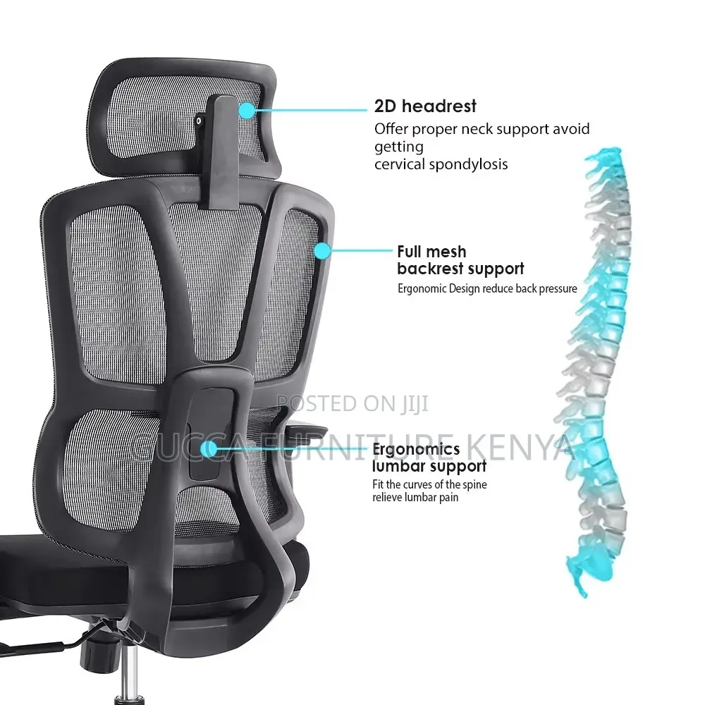 Orthopedic High-back Executive Office Chair