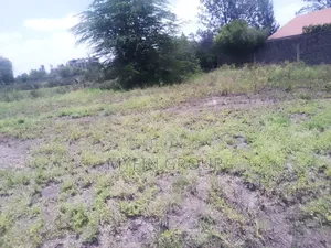 Plot for Sale ( 50 × 100 ) 500m From Kamulu - Kagundo Rd ( Acacia )