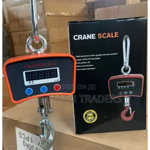 500kg Mini Industrial Crane Scale