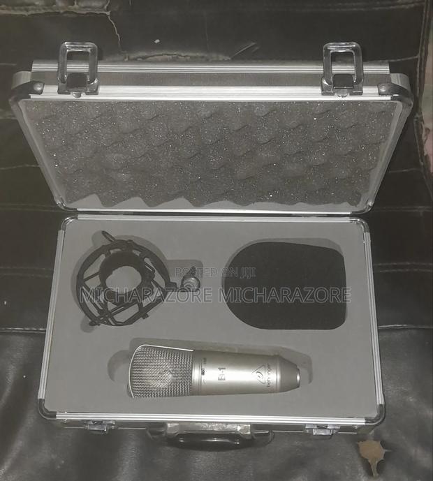 Beringer Mic (B1)