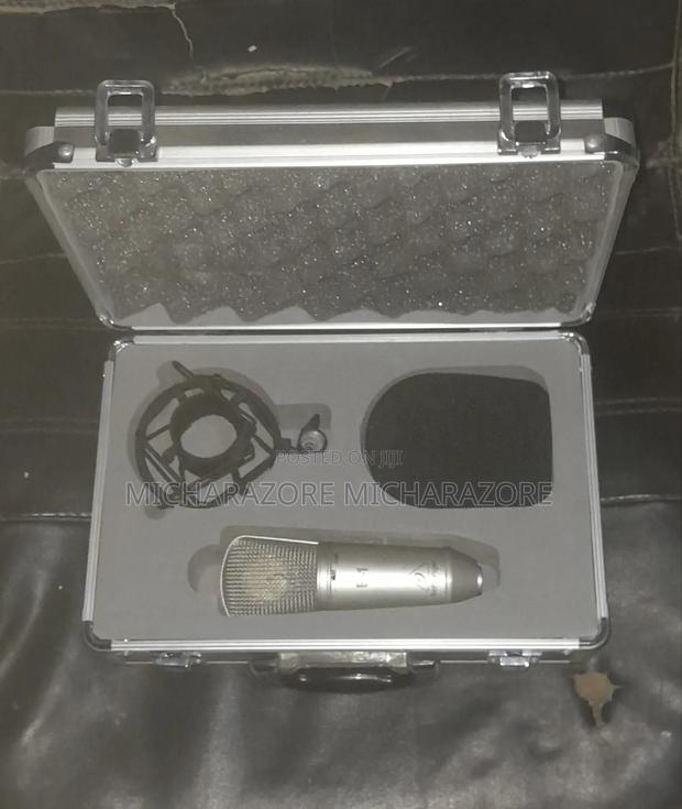 Beringer Mic (B1) - thumbnail 2