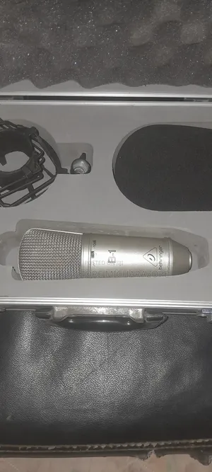 Beringer Mic (B1)