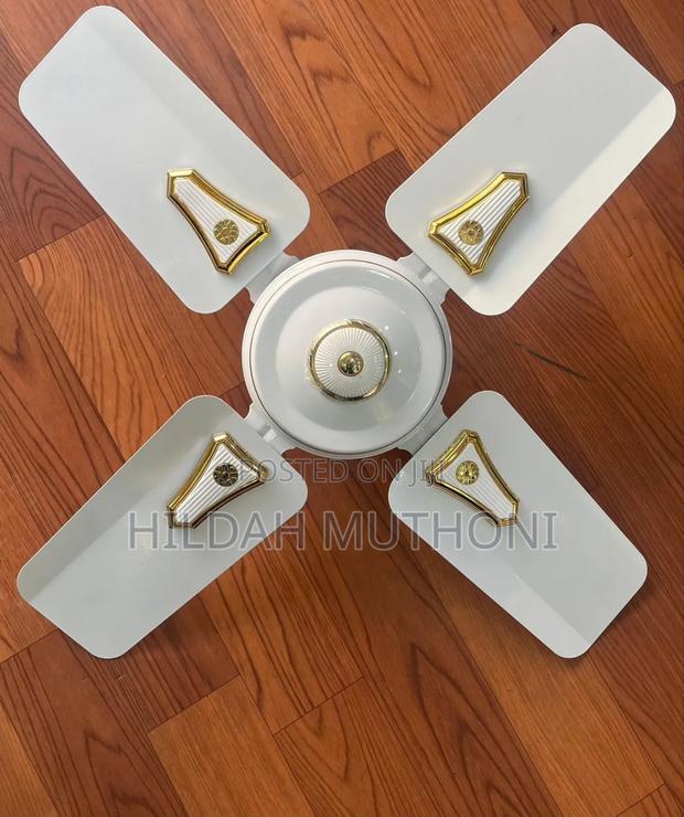 Roch 24 Inches Ceiling Fan