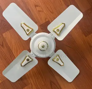 Roch 24 " Blades Ceiling Fan