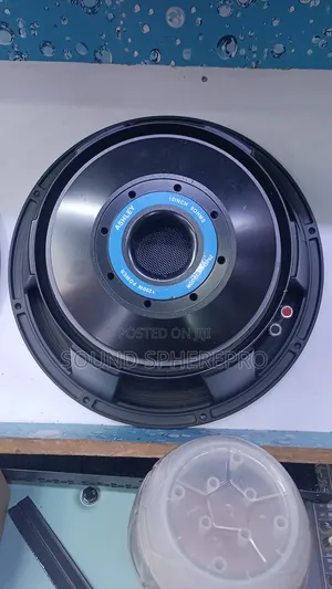 Ashley Hs 15-p62 15 Inch Speaker