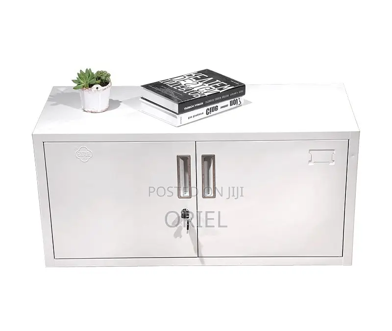 Steel Cabinet : 2-Locker Steel Office Cabinet