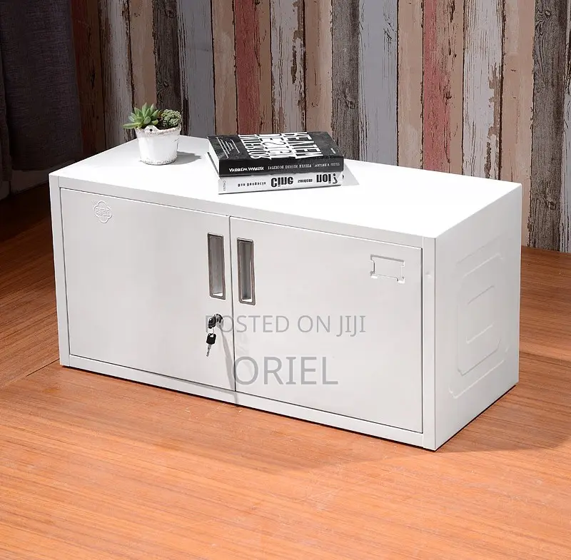 Steel Cabinet : 2-Locker Steel Office Cabinet