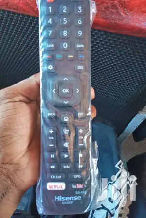 Hisense DS- 516 Smart Remote Control.