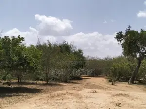 Magarini, Kilifi 12 Acres