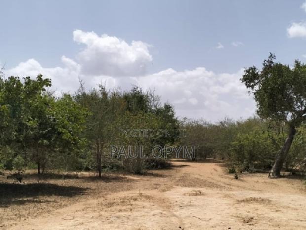 Magarini, Kilifi 12 Acres