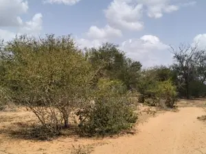 Magarini, Kilifi 12 Acres