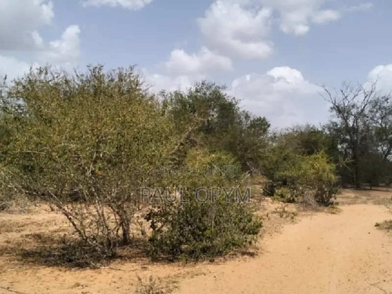 Magarini, Kilifi 12 Acres