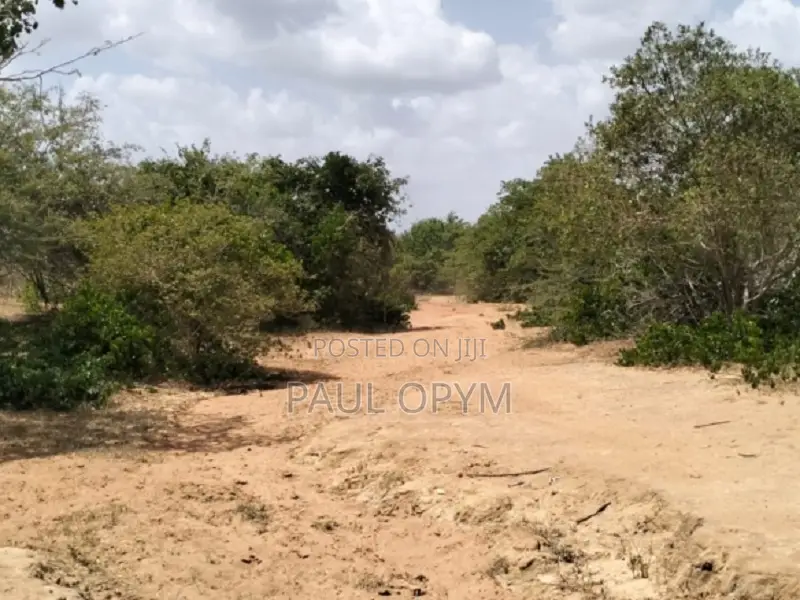 Magarini, Kilifi 12 Acres
