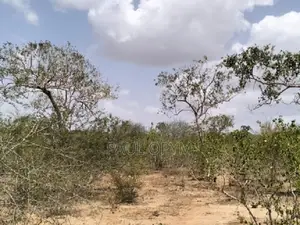 Magarini, Kilifi 12 Acres