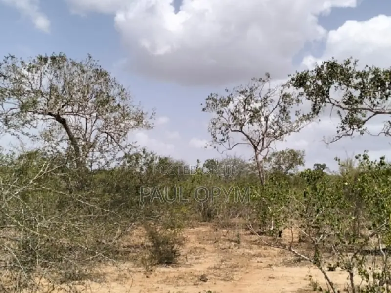 Magarini, Kilifi 12 Acres
