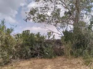 Magarini, Kilifi 12 Acres