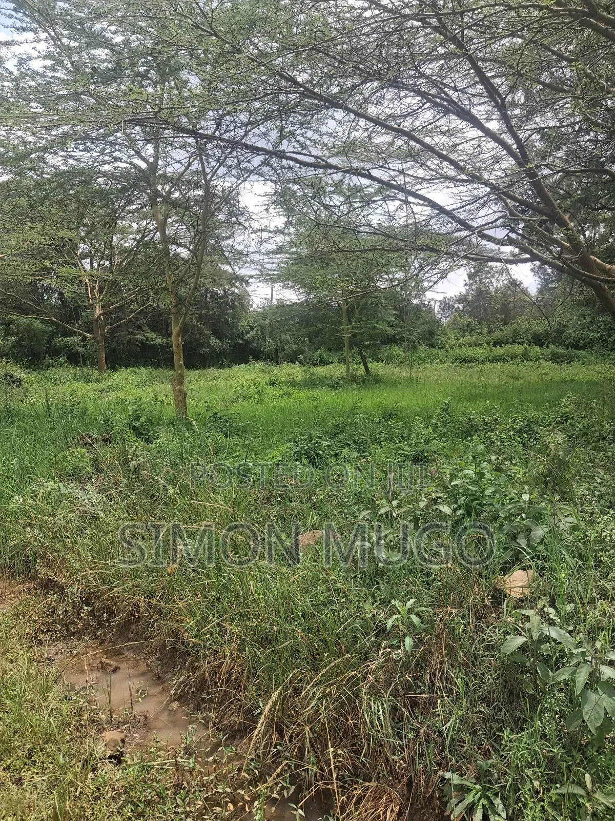 Garden Estate Prime Residential 1/2acre. Title Quick Sale 35 Millions