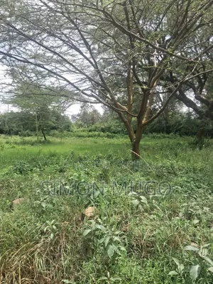 Garden Estate Prime Residential 1/2acre. Title Quick Sale 35 Millions