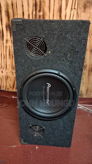 Pioneer Ts-Ws2s4