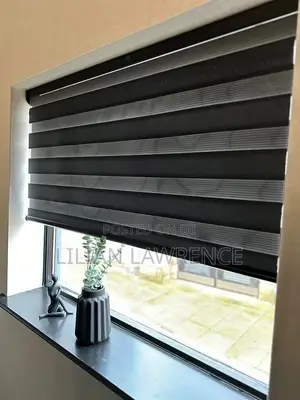 Modern Zebra Blinds