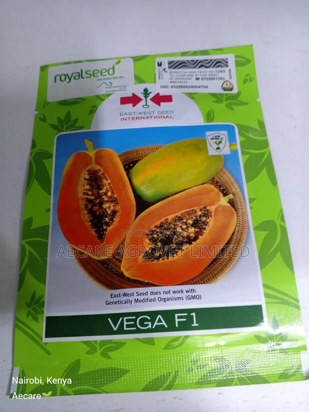 Vega F1 Pawpaw Seeds 10 Seeds