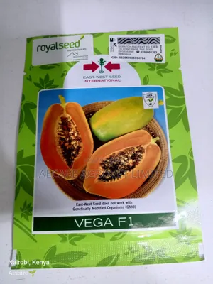 Vega F1 Pawpaw Seeds 10 Seeds
