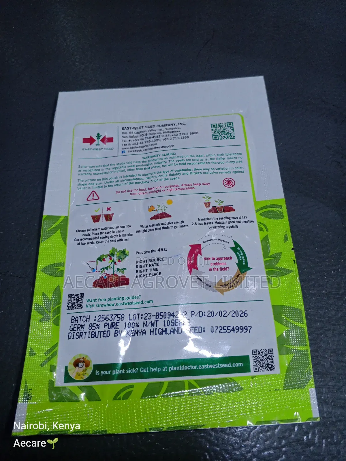 Red Royale F1 Pawpaw Seeds 10 Seeds