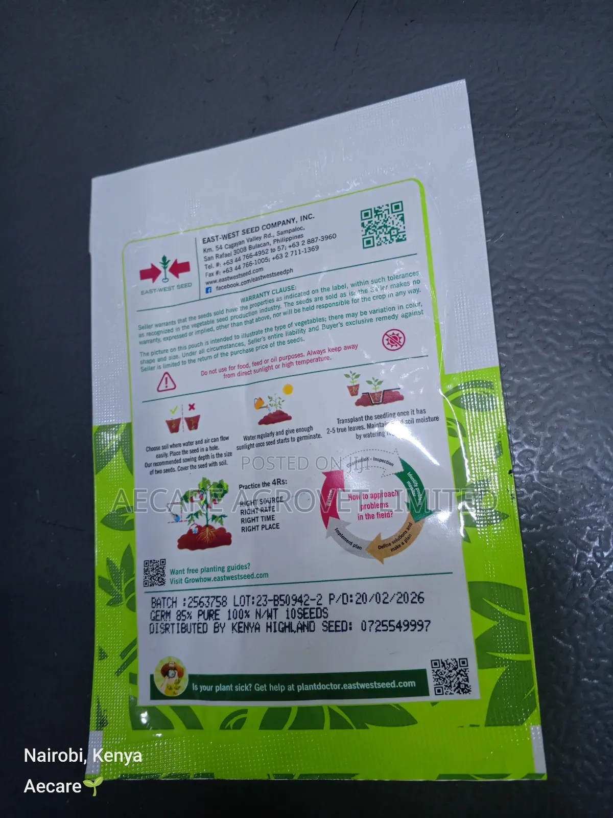 Red Royale F1 Pawpaw Seeds 10 Seeds