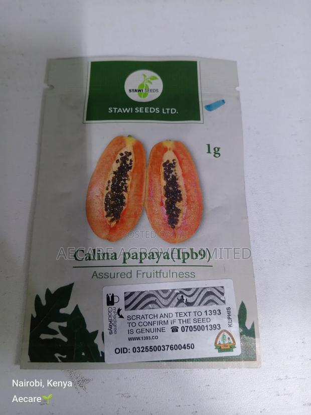 Calina Papaya (1pb9) 60 Seeds 1gram Pawpaw Seeds