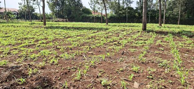 Kabete Cura 100x100 Available Plot - thumbnail 4