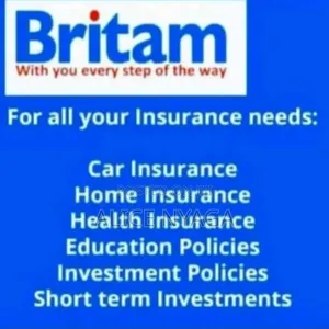 Financial Advisor