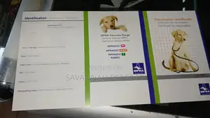 Dog Cat Identification and Vaccination Certificate Template Card