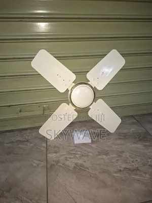 Roch 24inches Ceiling Fan