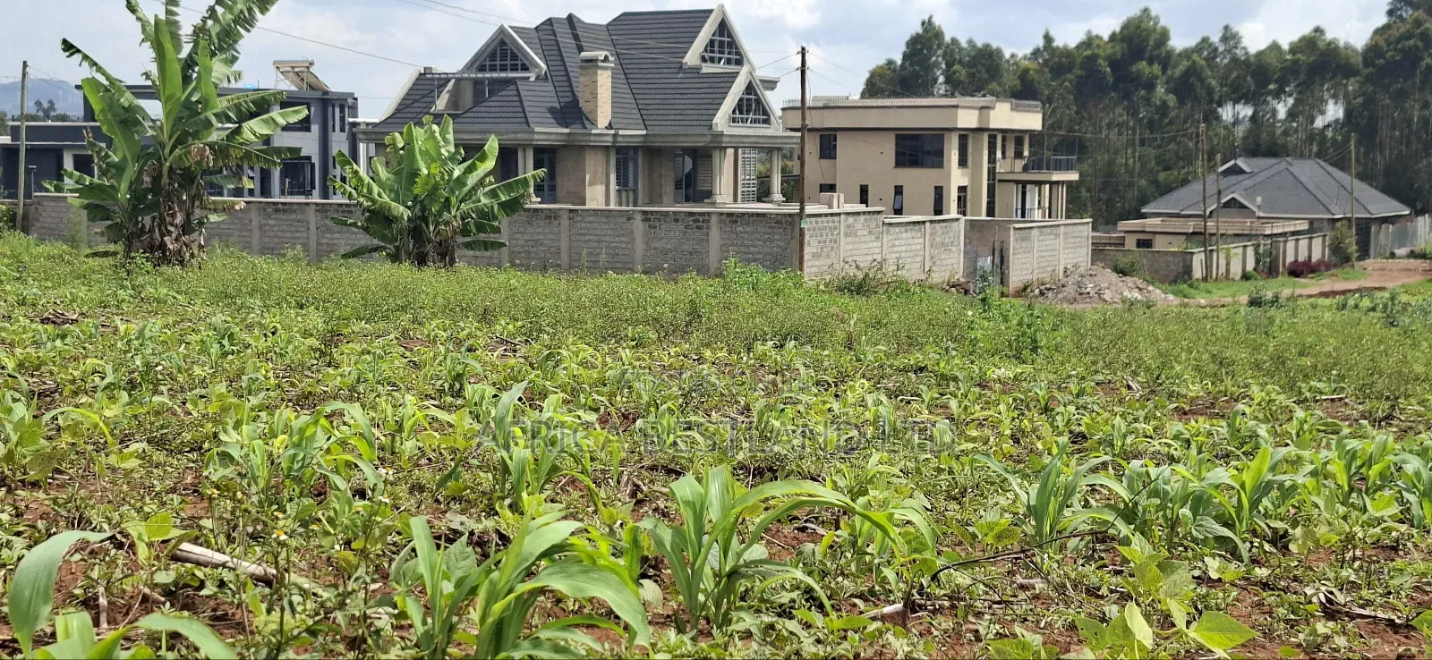 Gikambura Kikuyu Residential Plot for Sale