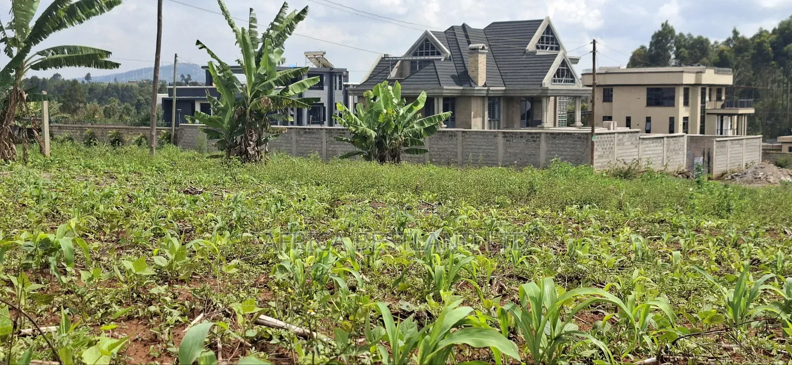 Gikambura Kikuyu Residential Plot for Sale