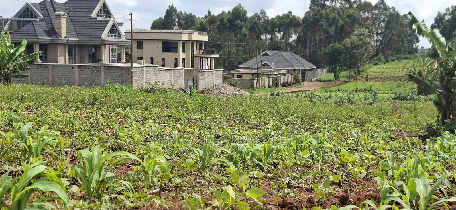 Gikambura Kikuyu Residential Plot for Sale