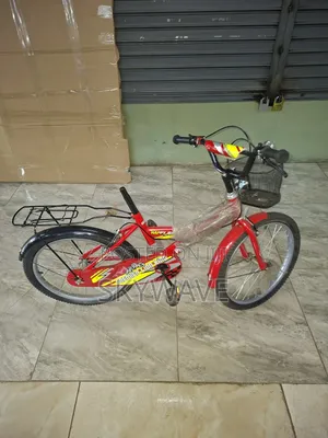 Lion King Bicycle Size 20