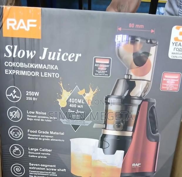 Raf Slow Extraction Juicer