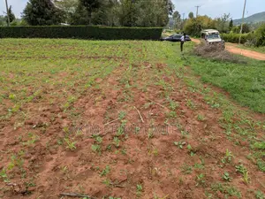 Ready To Build 50*100 Plots -kikuyu
