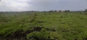 Agood Land for Development