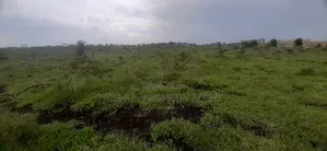 Agood Land for Development