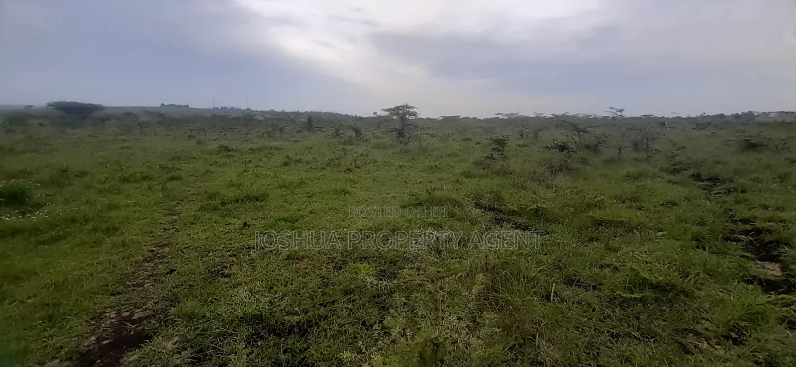 Agood Land for Development