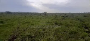 Agood Land for Development