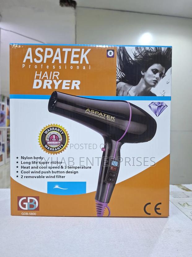 Aspatek Hair Dryer - main view